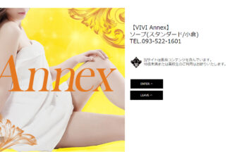 VIVI Annex画像