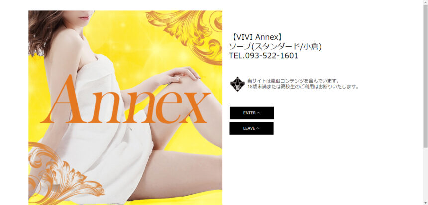 VIVI Annex画像
