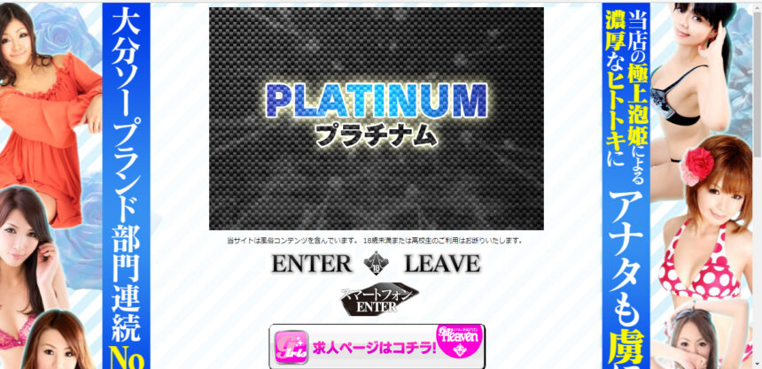 PLATINUM(プラチナム)画像