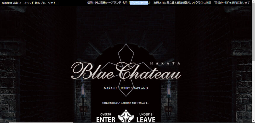 HAKATA BlueChateau(博多ブルーシャトー)画像