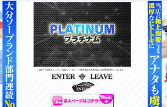 PLATINUM（プラチナム）画像